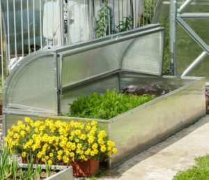 Polycarbonate Greenhouse Standart mini