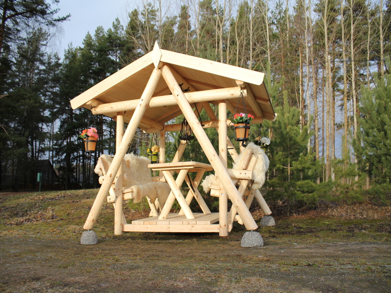 Barbeque Grill Swing N