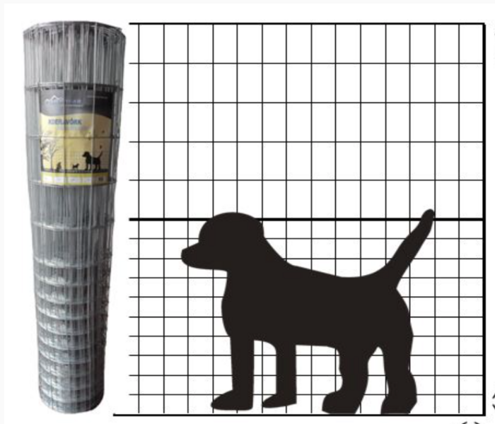 Dog Net