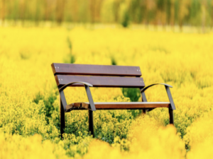 Park bench “Cent I”