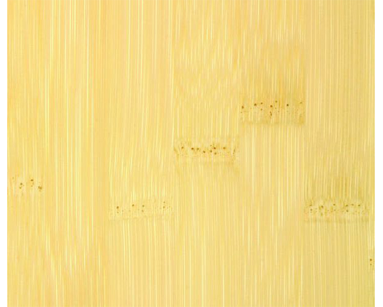 Bamboo Parquet Purebamboo Plain Pressed Natural (varnish)