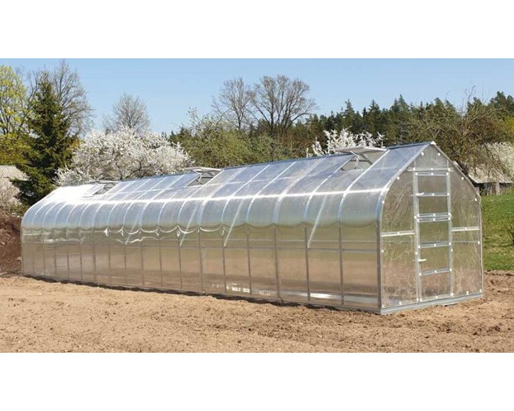 Greenhouse KLASIKA STANDART 2,5x12m with foundations and 4mm polycarbonate