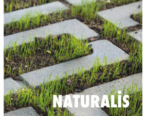 NATURALIS N-S15R1 Black