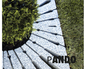 PANDO N-B1R1 Black