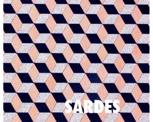 Paving stone Sardes N-S13R1 black
