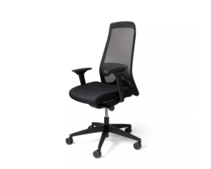 Interstuhl EVERYis1 office chair EV217