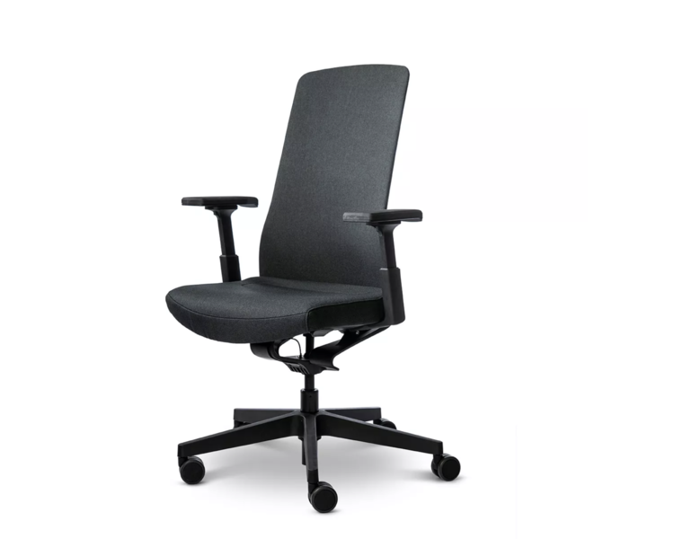 Interstuhl PUREis3, dynamic office chair