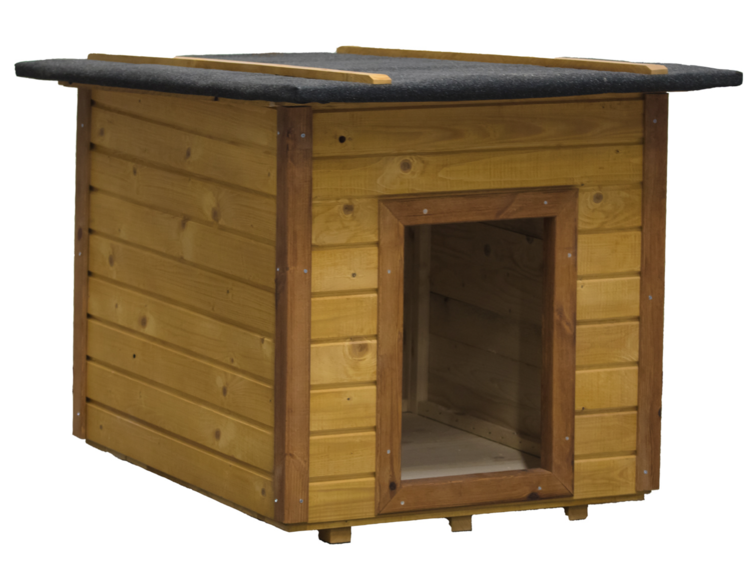 Flat roofed dog house