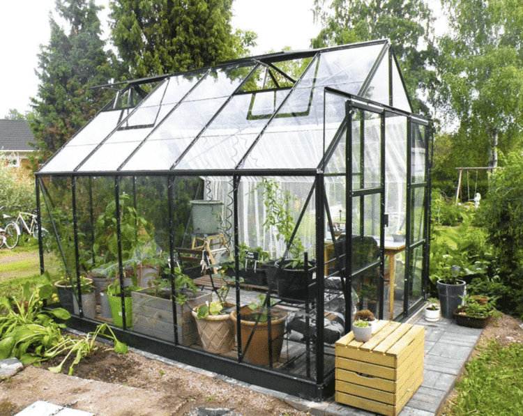 Greenhouse halls magnum 8.3 m² with safety glass, green color